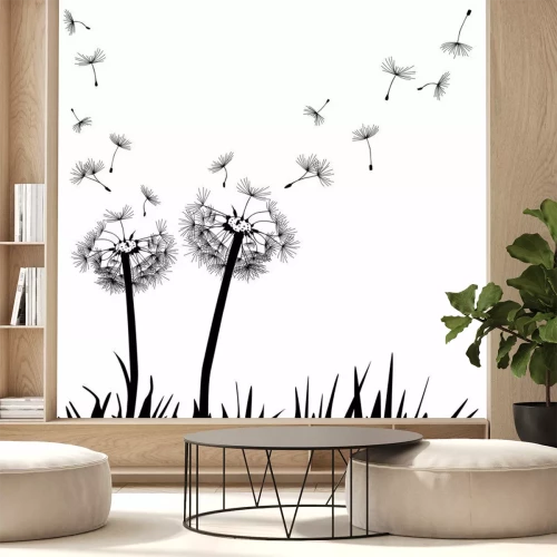 Fototapete Monochromatische Pusteblumen auf dem Gras