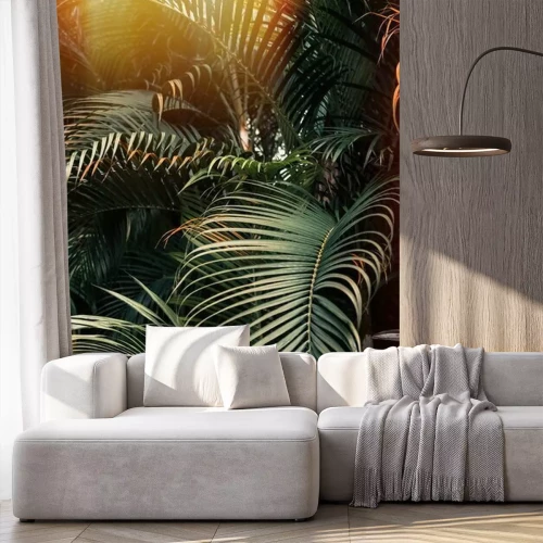 Fototapete Palmen in der Sonne