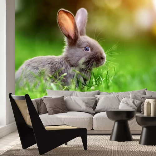 Sticker Kaninchen im grünen Gras