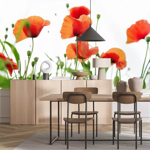 Sticker Rote Feldblumen auf weißem Hintergrund