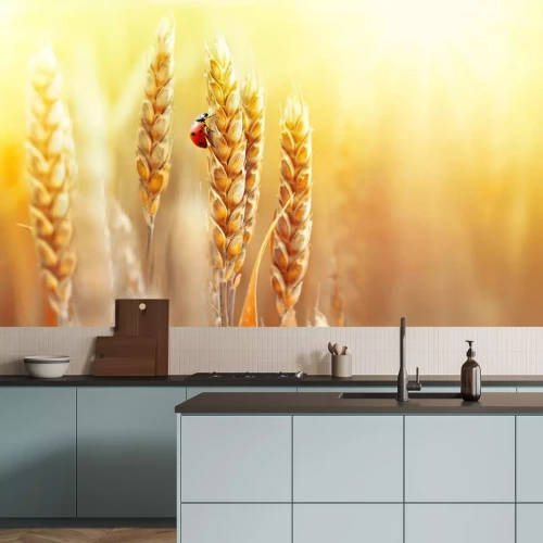 Sticker Marienkäfer auf der goldenen Ähre des Weizens