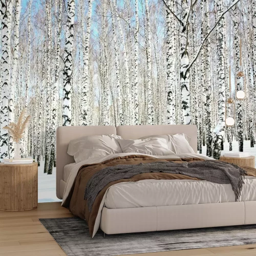 Fototapete Schnee auf Birken