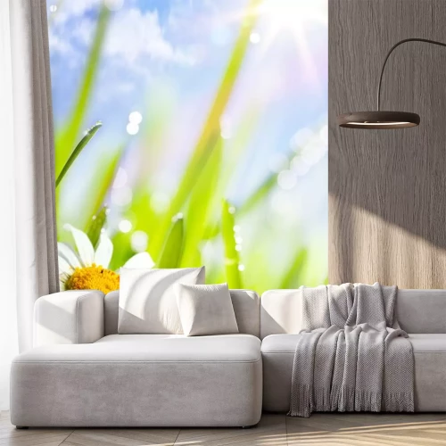 Sticker Feuchte Blume in der Sonne