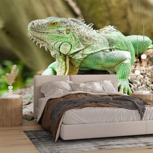 Sticker Wilde Tiere grüner Leguan auf einem Baumstamm