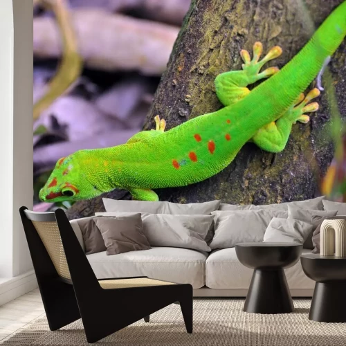 Sticker Tiere heller Gecko in einem Baum