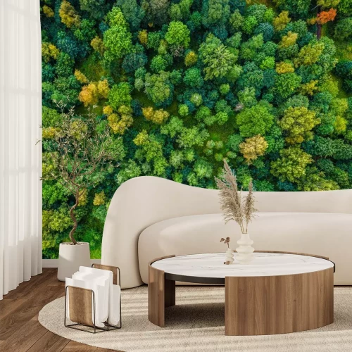 Fototapete Luftaufnahme von Herbstbäumen. Bunte Bäume von oben.