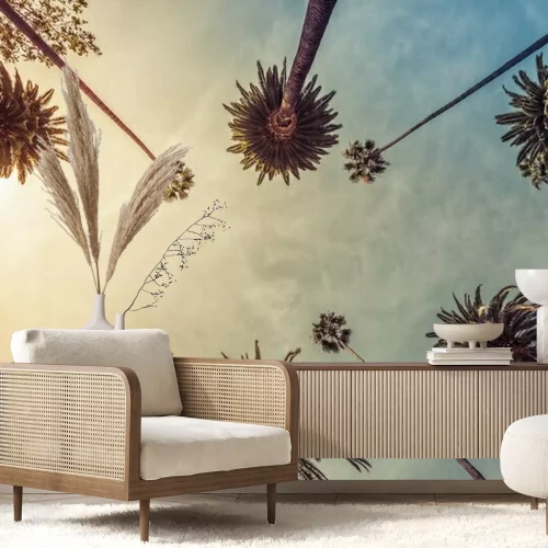 Fototapete Hohe Palmen von unten gesehen