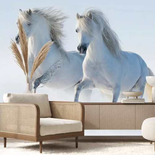 Fototapete Zwei galoppierende pferde