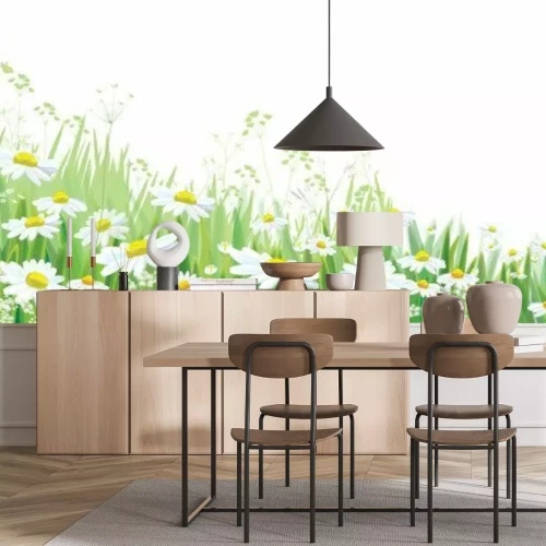 Fototapete Grafikwiese mit Gänseblümchen