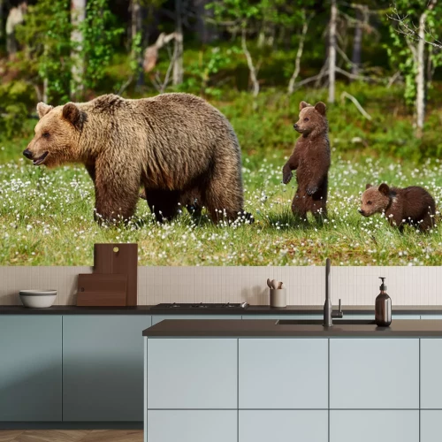 Fototapete Bären auf einer Waldlichtung