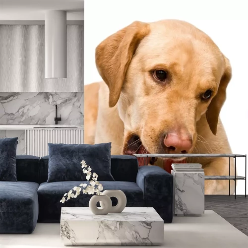 Sticker Spielzeug beißender Hund