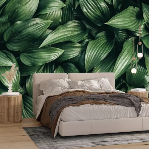 Fototapete Blätter aus Tropen