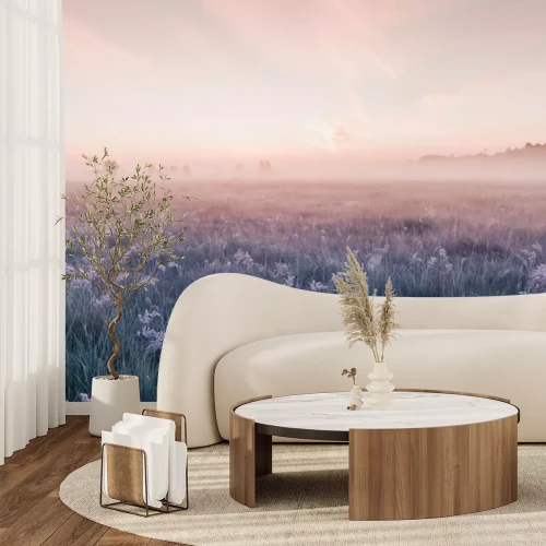 Fototapete Sonnenaufgangfeld der blühenden rosa Wiesenblumen