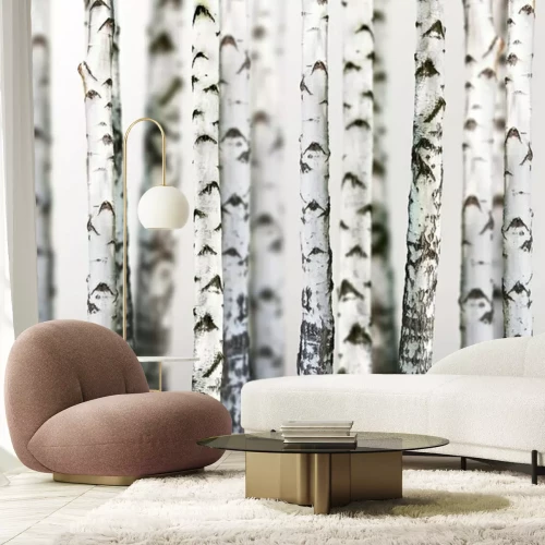 Fototapete Natürlichen Hintergrund - Birke - wallpaper