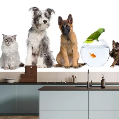 Sticker Verschiedene Arten von Haustieren nebeneinander aufgereiht