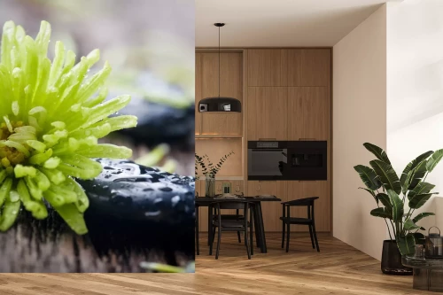 Visualisierung des Produkts