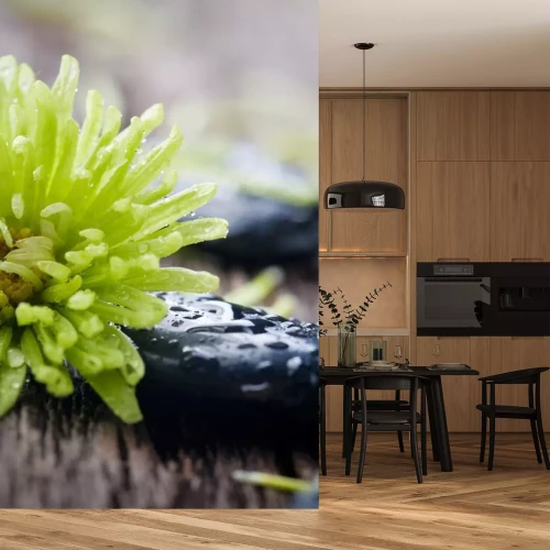 Sticker Steine ​​mit Wassertropfen