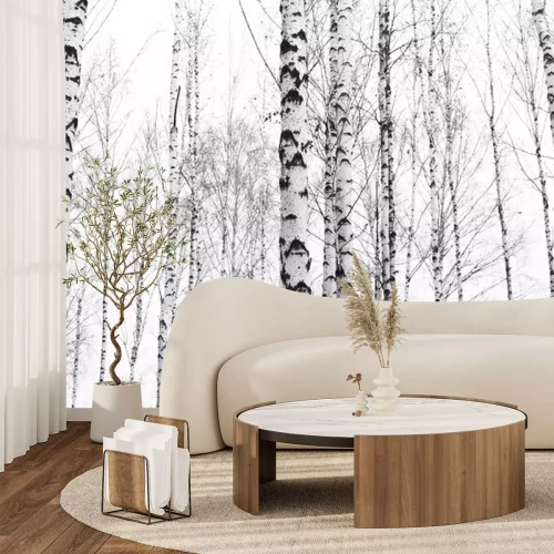 Fototapete Schwarz-weiße Birkenbäume im Wald