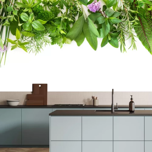 Fototapete Frische grüne Kräuter auf weißem Hintergrund