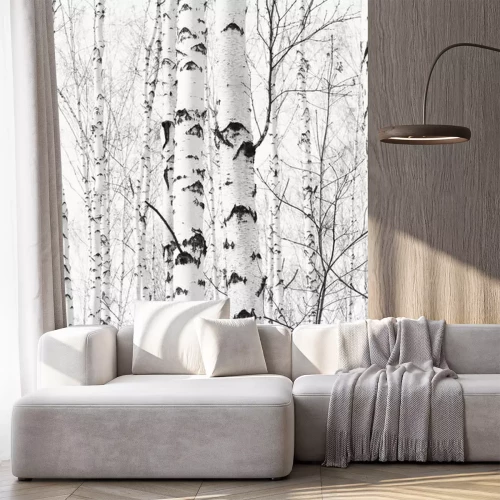 Sticker Foto schwarz-weißer Birken
