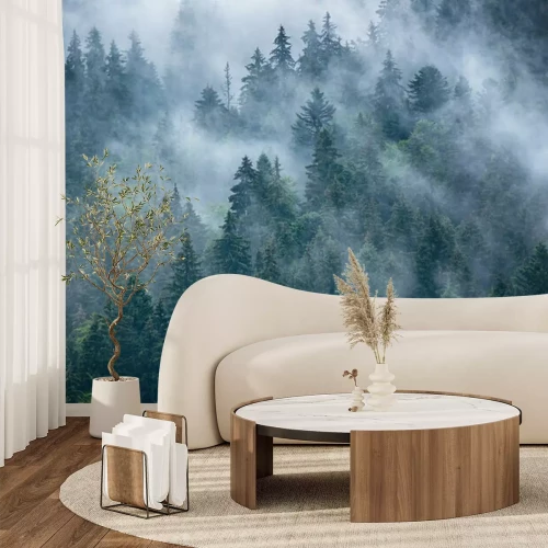 Fototapete Tannenkronen im Nebel