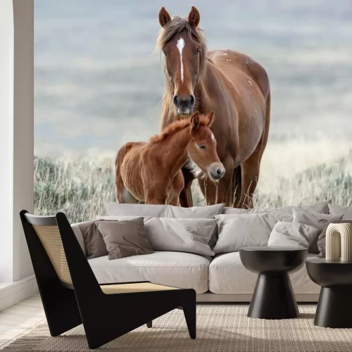 Fototapete Pferd und fohlen auf der wiese