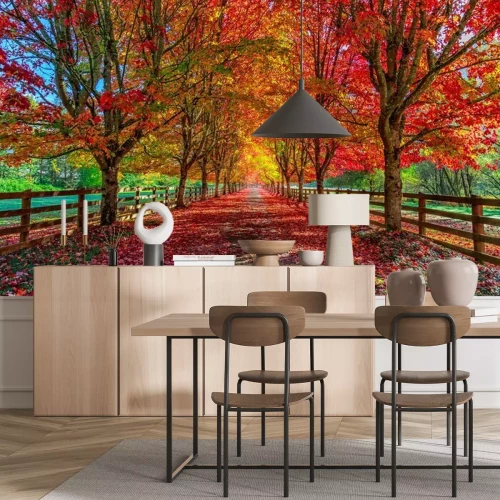 Fototapete Herbstallee zwischen Bäumen