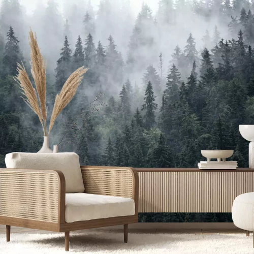 Fototapete Stahlgrauer wald im nebel