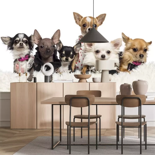 Sticker Haustiere Hunde sitzen auf einer flauschigen Decke