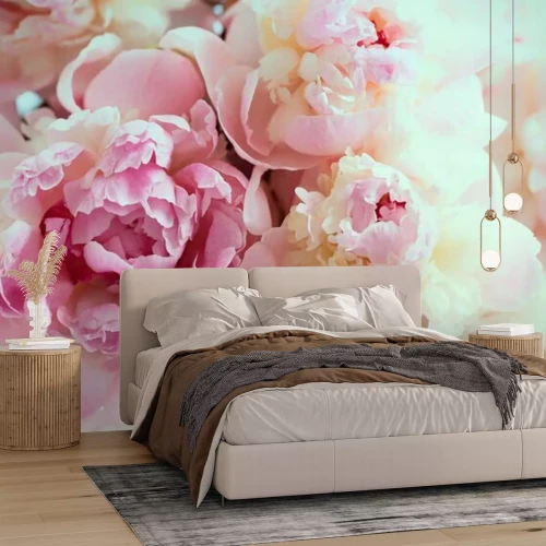 Fototapete Rosa Pfingstrosen in Nahaufnahme