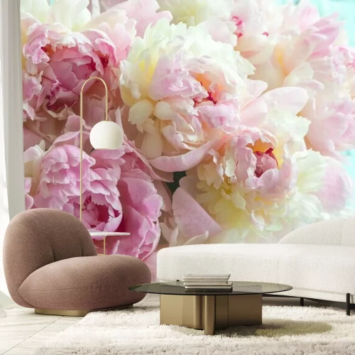 Fototapete Üppige rosa Pfingstrosen