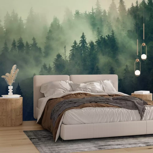 Fototapete Nebel über dem grünen Tannenwald