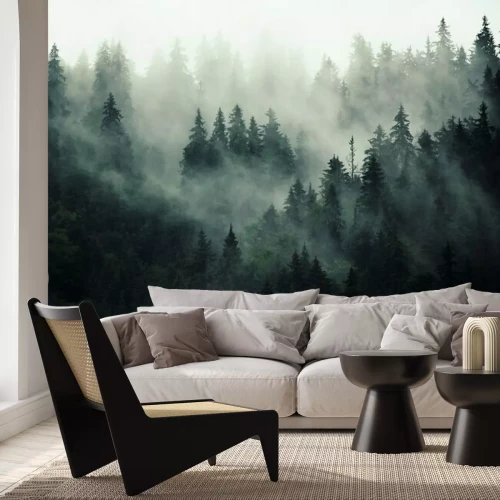 Fototapete Dunkelheit im wald