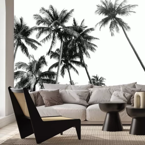 Fototapete Palmen in Schwarz und Weiß