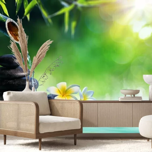 Fototapete Steine Wasser und Blumen