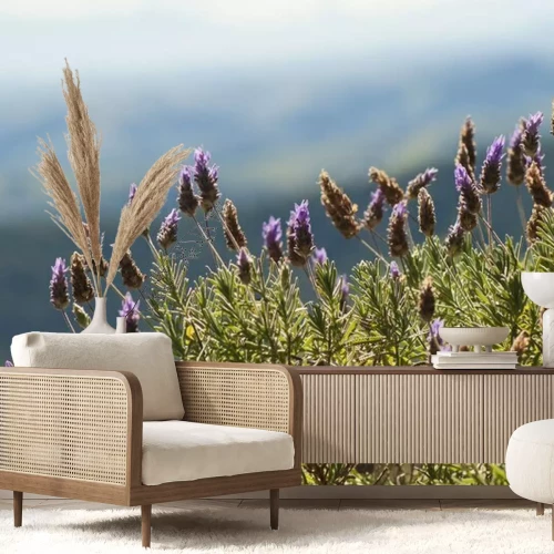 Fototapete Ein Heidebusch Nahaufnahme