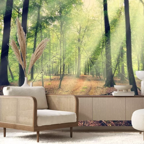 Fototapete Die Sonne fällt in den Wald