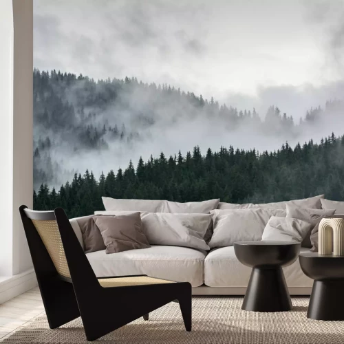 Fototapete Nebliger Kiefernwald. Dichter Kiefernwald im Morgennebel.