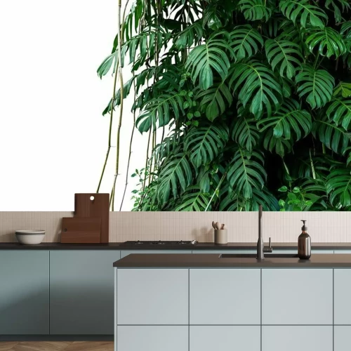 Fototapete Monstera auf weißem Hintergrund