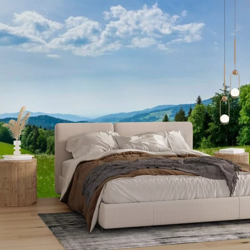 Fototapete Wiese und Bergansicht