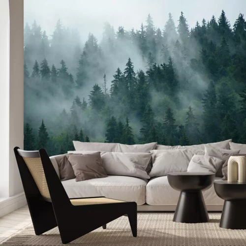 Fototapete Milder nebel zwischen bäumen