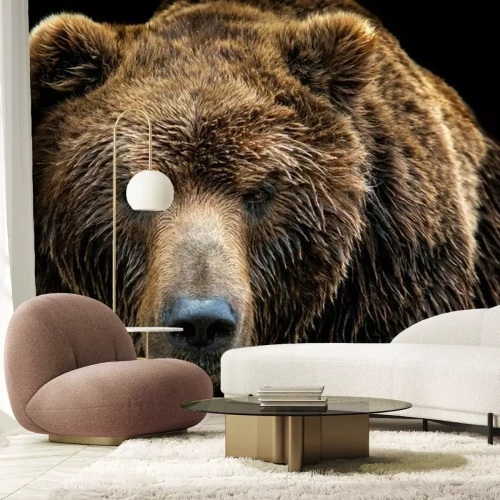 Fototapete Nasser brauner Bär