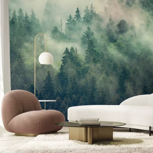 Fototapete Nebliger Tannenwald in Grün- und Brauntönen