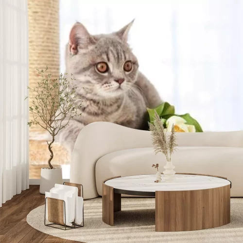 Fototapete Eine Katze liegt auf einem Kratzbaum