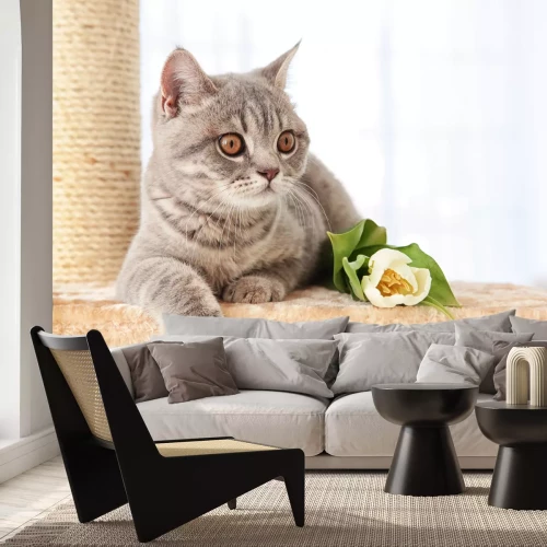 Fototapete Eine Katze liegt auf einem Kratzbaum