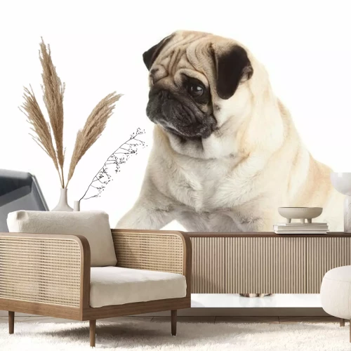 Sticker Tiere Hund hält Pfote auf Tastatur