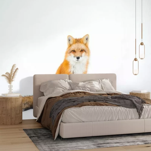 Sticker roter Fuchs auf weißem Hintergrund