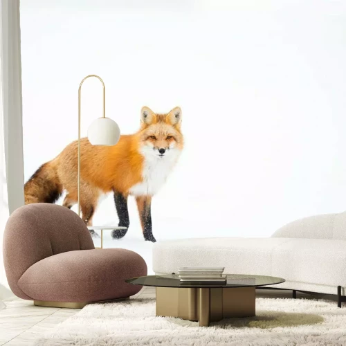 Sticker Fuchs auf weißem Hintergrund