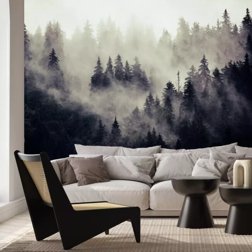 Fototapete Geheimnisvoller Tannenwald