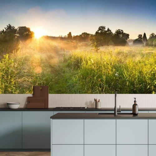 Fototapete Wiese Wald und Sonnenaufgang